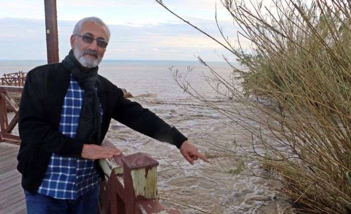 Kedileri kovalayan Alman kurdu köpek Düden Şelalesi’nden denize düşüp telef oldu