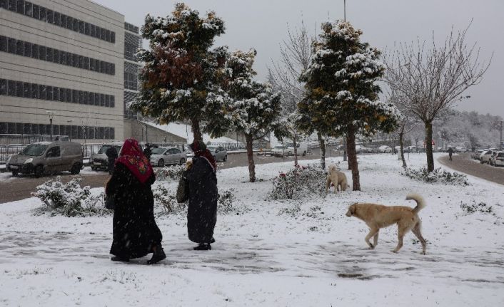 Kocaeli’de şehir merkezine yakın bölgeler beyaz örtü ile kaplandı