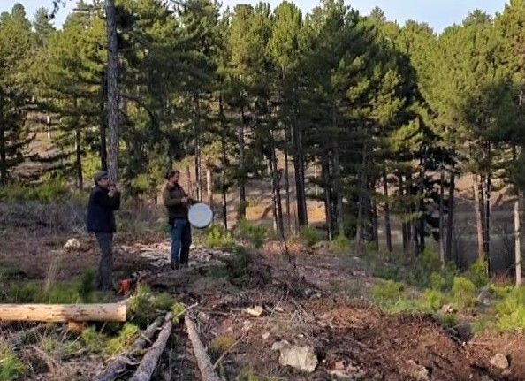 Korona mağduru müzisyen, ormanda çalışan mesai arkadaşlarını sazla sözle eğlendirdi