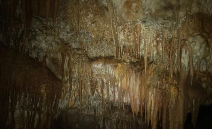 Küre Dağları Milli Parkı’nda 3’ü yatay 2’si dikey 5 mağara keşfedildi