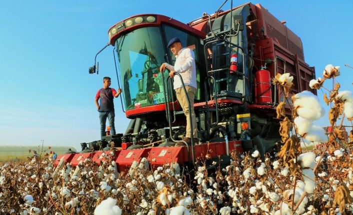 Pamuğun fiyatı, 1 lira 20 kuruşluk devlet desteği ile 7 lira 20 kuruşa çıktı.