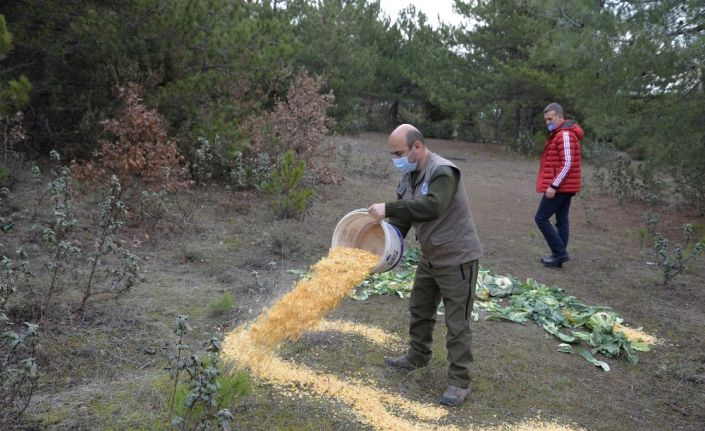 Pazar alanından toplanan atıl yeşillik ve meyveler yaban hayvanları için doğaya bırakıldı