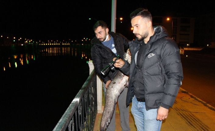 Polis ‘zehirli olabilir’ diye uyardı ama onlar fenerle aydınlatıp balık tuttu