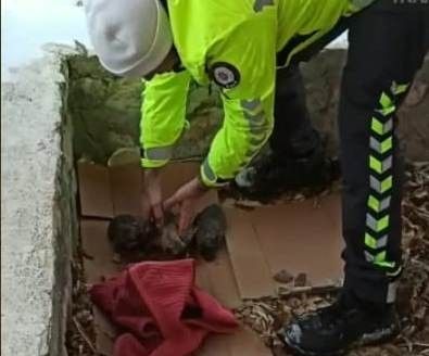 Polisten donmak üzere olan yavru köpeklere şefkat eli