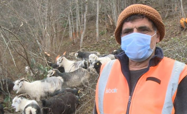 Rize’de 3 gündür kayıp olan 30 keçiden 23’ü jandarmanın drone destekli aramaları sonucu bulundu