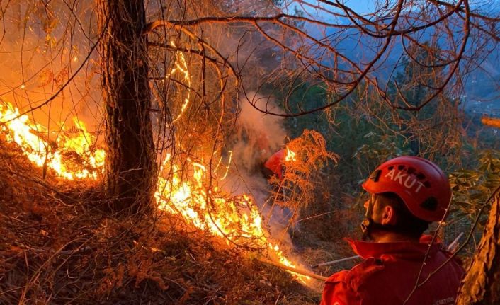 Rize’de bahçe temizliği yapmak isteyen vatandaş örtü yangınına neden oldu