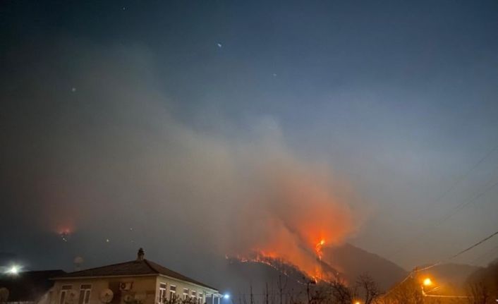 Rusya’da yeni yıl kutlamalarında atılan havai fişekler orman yangınına neden oldu