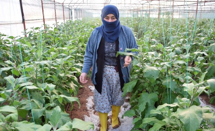 Serası dolu nedeniyle zarar gören kadın çiftçinin tepkisi: ”Patlıcan pahalı diyenler şu halimize baksınlar”