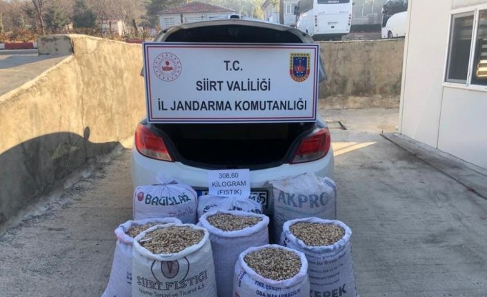 Siirt’te 8 çuval fıstık çalan şahıs yakalandı