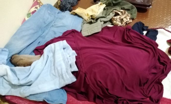 Şırnaklı çiftçi, yeni doğan buzağıyı evine alıp bebek gibi beslemeye başladı