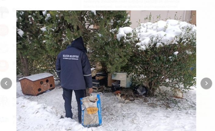 Soğuk ve karlı havalarda sokak hayvanları mamasız ve susuz bırakılmıyor