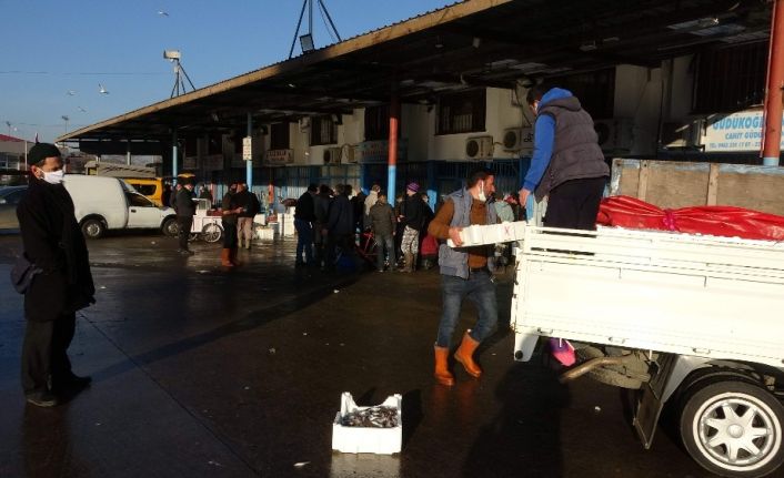 Trabzon Toptancı Balık Hali’ne gelen balık miktarındaki düşüş devam ediyor