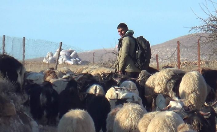 Yıl boyu süren zorluk: Göçerler dondurucu soğukta çadırlarda konaklayarak yaşama tutunmaya çalışıyor