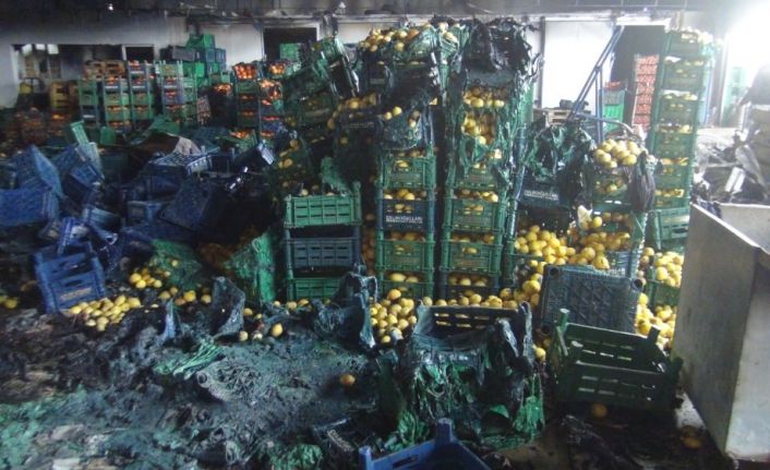 Antalya’daki yangında 350 ton sebze küle döndü, 6 milyon zarar var