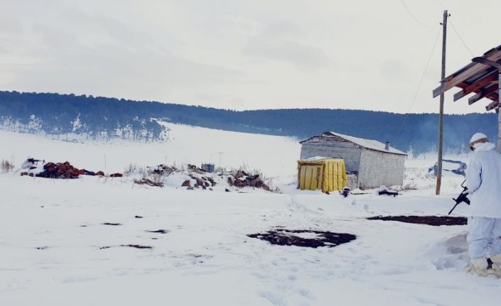 Ardahan’da jandarma teröristlerin barınma ihtimaline karşı yaylaları boş bırakmıyor