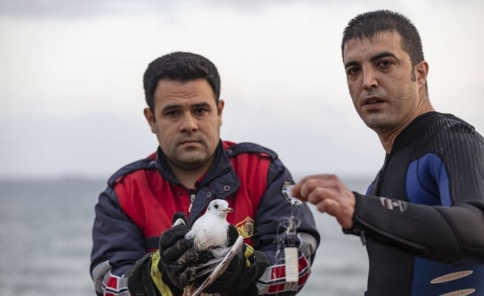 Ayağına misina takılan martı ile yardıma giderken arızalanan teknedeki 2 kişi kurtarıldı