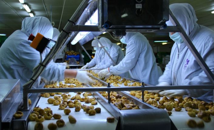 Aydın’dan dünyaya 152 bin ton bitkisel ve hayvansal ürün ihraç edildi