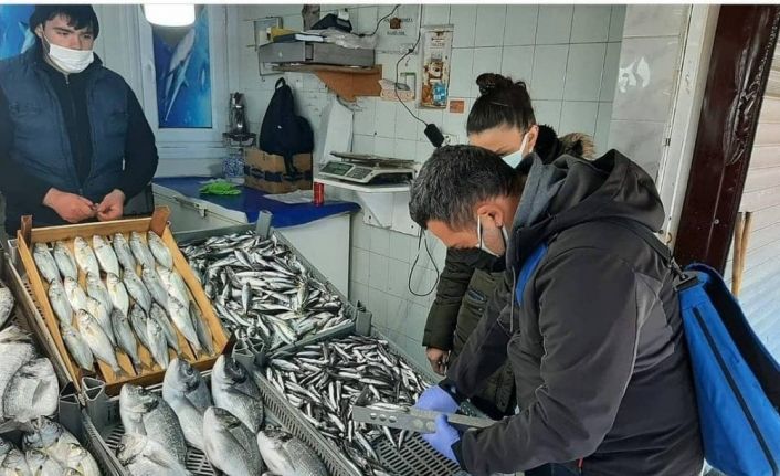 Balıklar boy boy denetleniyor