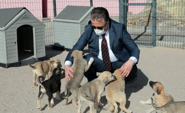 Başkan Savran, Hayvan Kasabasında incelemelerde bulundu