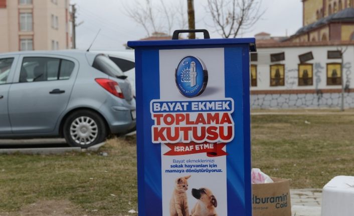 Bayat ekmekler sokak hayvanlarına mama olacak