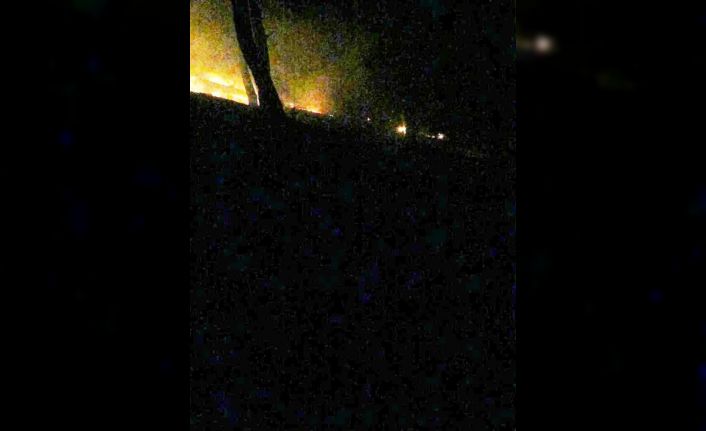 Burhaniye’de çıkan orman yangınında 2 hektarlık alan zarar gördü