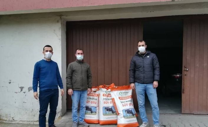 Çiftçilere 250 kilogram İtalyan çim tohumu dağıtıldı