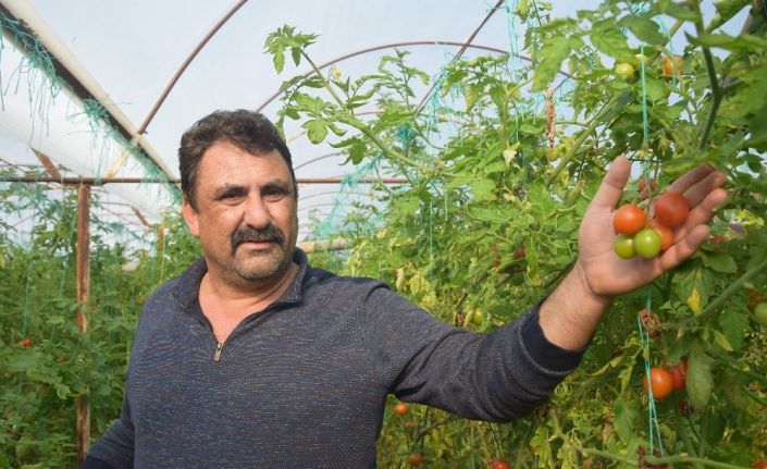 Çiftçilerin aracı tepkisi: “Emeği biz veriyoruz parayı aracılar kazanıyor”