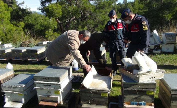 Dedektif gibi iz süren arıcı, çalınan arılarını 200 kilometre uzakta buldu