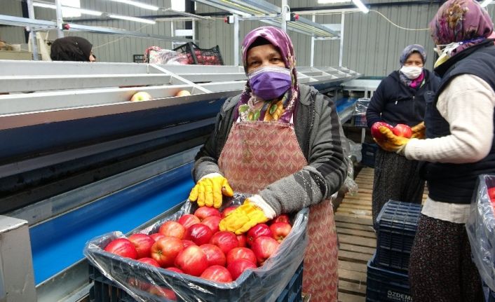 Depoda 2.80 TL’ye satılan elma market ve pazarlarda 8-10 TL