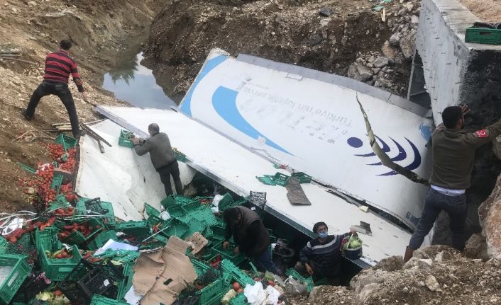Devrilen tırdan yola saçılan sebze ve meyveyi kasalara koyup evlerine götürdüler