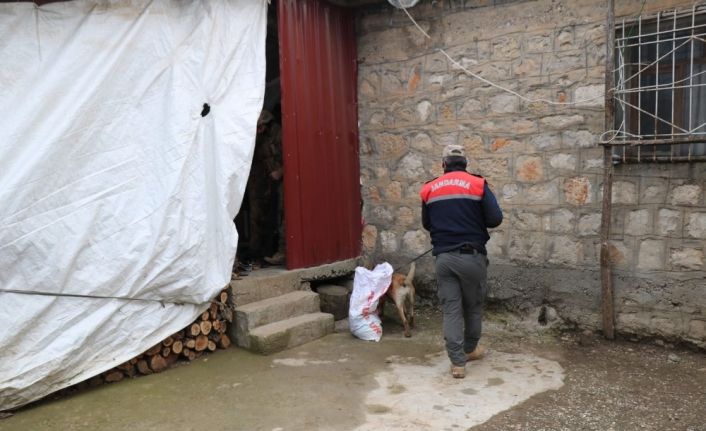 Diyarbakır’da dev uyuşturucu operasyonu: 1 milyon 258 bin kök kenevir ve 1 ton 734 kilo uyuşturucu ele geçirildi