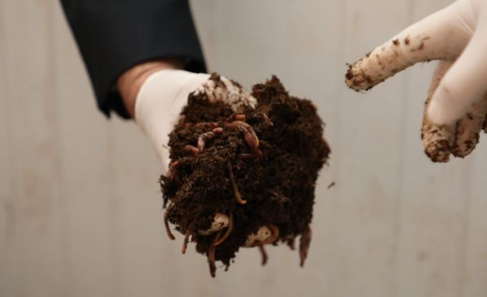 Ekonomiye katkı çevreye fayda sağlıyor, 100 ton gübre üretiliyor