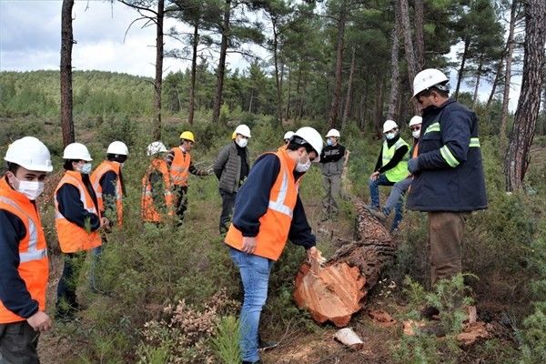 Endüstriyel plantasyon sahasında üretim