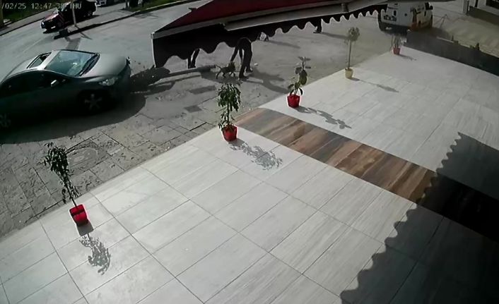 Fren yerine gaza basan kadın sürücü önce trafik ışığını ardından 3 yayayı ezdi