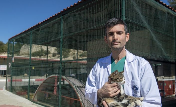 Hayvanlarda kısırlaştırmanın önemi masaya yatırıldı