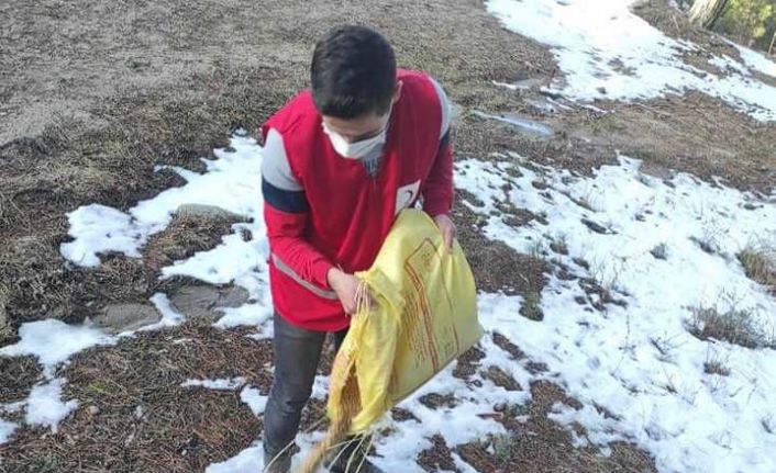 Hisarcık Kızılay gönüllüleri kuşlar için doğaya yem bıraktı