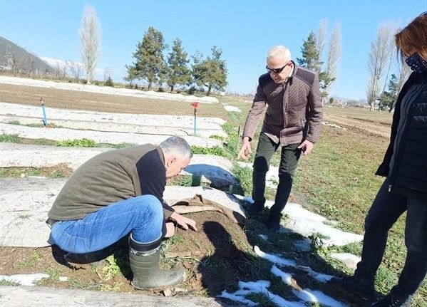 Isparta’da bu yıl 8 milyon 377 bin fidan yetiştirilmesi hedefleniyor