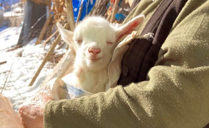 İşte mutluluğun fotoğrafı