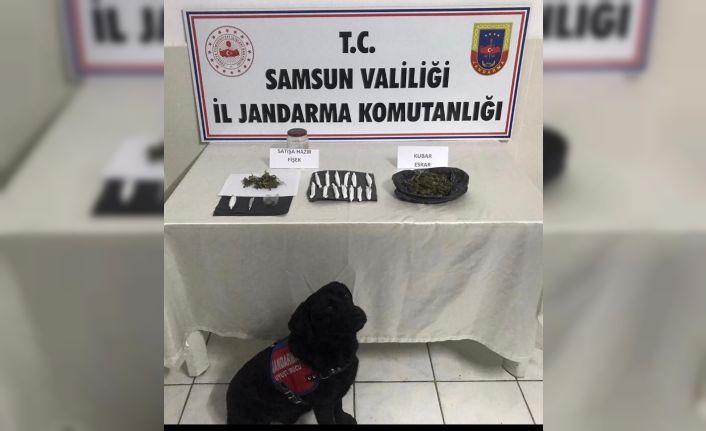 Jandarmadan uyuşturucuya geçit yok