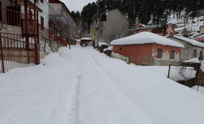 Kar görmeye gitmek pahalıya patladı