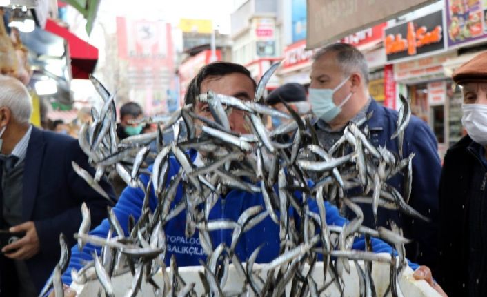 Karadeniz-Ege hamsi polemiği