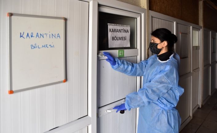 Kedilerde görülen FIP hastalığında yaşanan artış üzerine bir dizi önlem alındı
