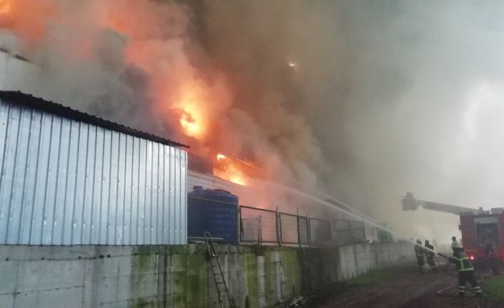Kocaeli’de 3 bin 500 metrekarelik tavuk çiftliği alev alev yanıyor