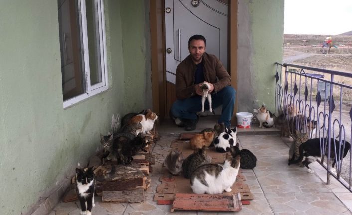 Konya’da yaklaşık 30 kedi besleyen imam: "Biz onlara baktıkça huzur bulduk"