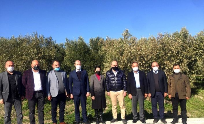 Milletvekili Işık zeytincileri dinledi
