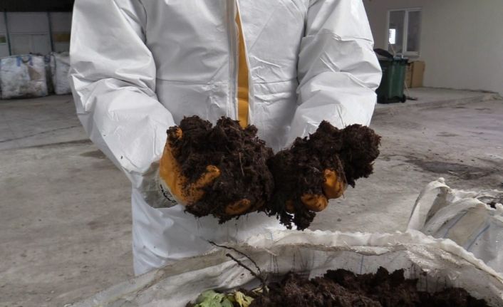 Ordu’da organik solucan gübresi atağı