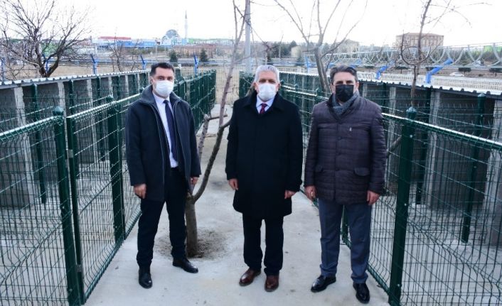 OSB sınırları içerisindeki sokak hayvanları için rehabilitasyon merkezi kuruluyor