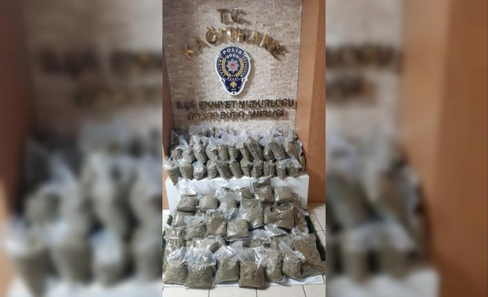 (Özel) İstanbul’da dev “bonzai” operasyonu: 74 kilogram ele geçirildi