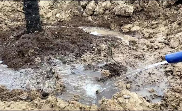 Pursaklar’da ağaçlandırma çalışmaları tüm hızıyla devam ediyor