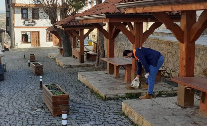 Safranbolu sokak hayvanları unutulmuyor